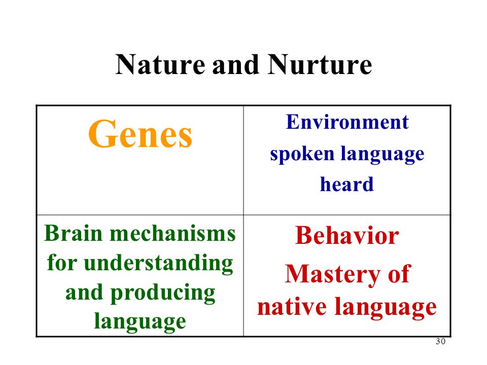 Genetics, Brain Structure, And Behavior Presentation Evaluation